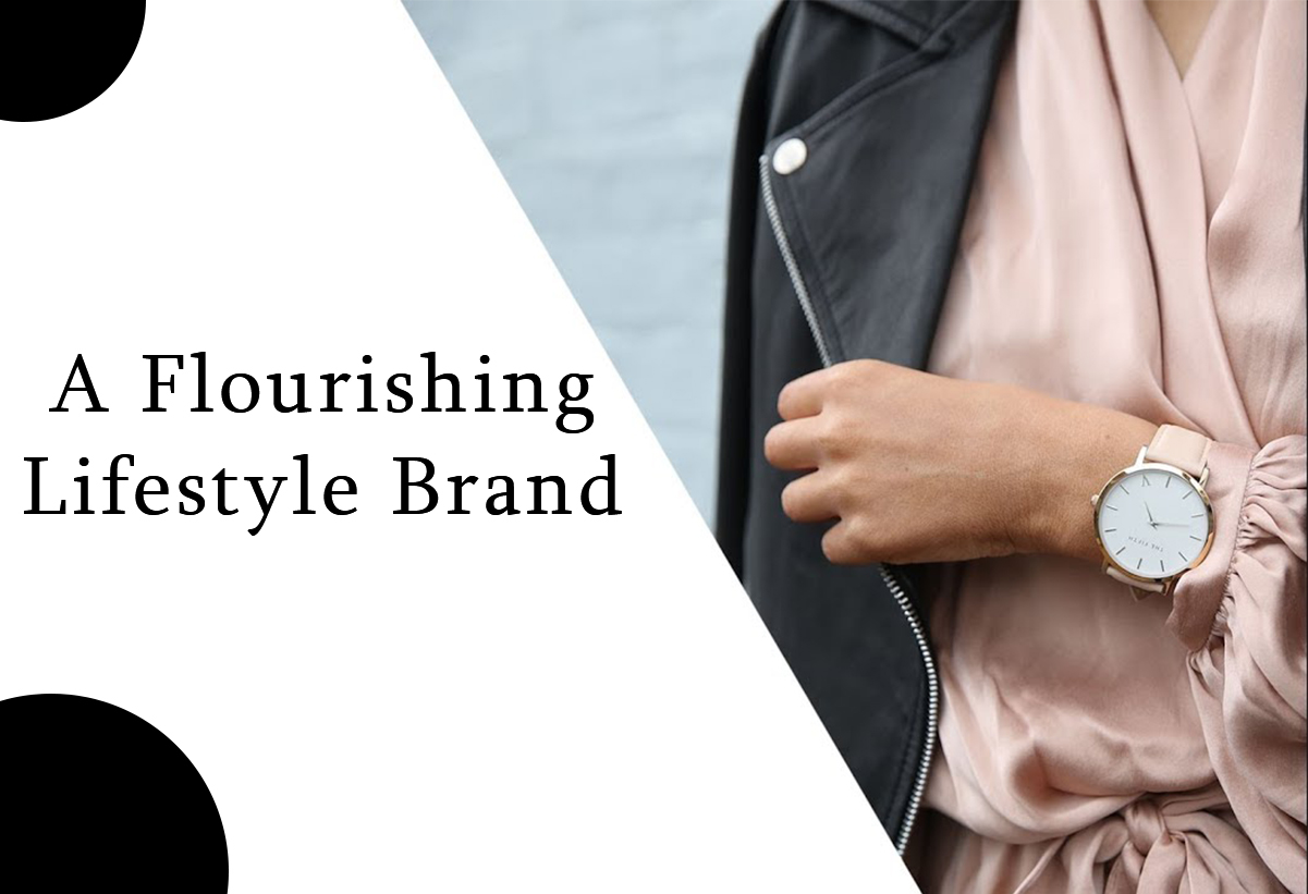 Discover the Blueprint for Launching and Nurturing a Flourishing Lifestyle Brand